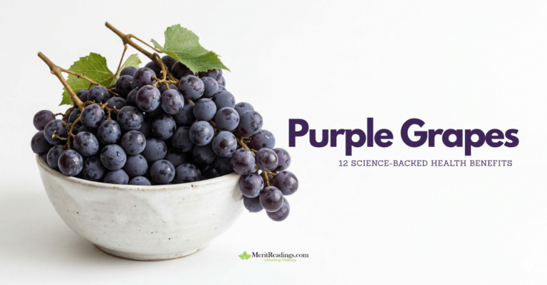 A single photograph of a bowl of purple grapes positioned on the left side of a wide white background.