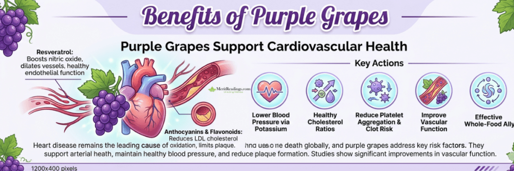 Infographic banner explaining how purple grapes support heart health, featuring a heart and artery illustration.