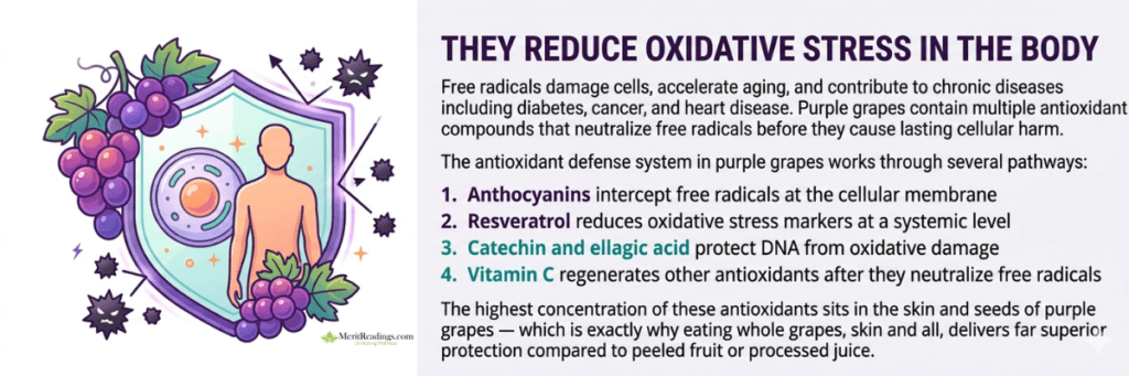 Banner showing a shield protecting a human cell from free radical "sparks," representing reduced oxidative stress.